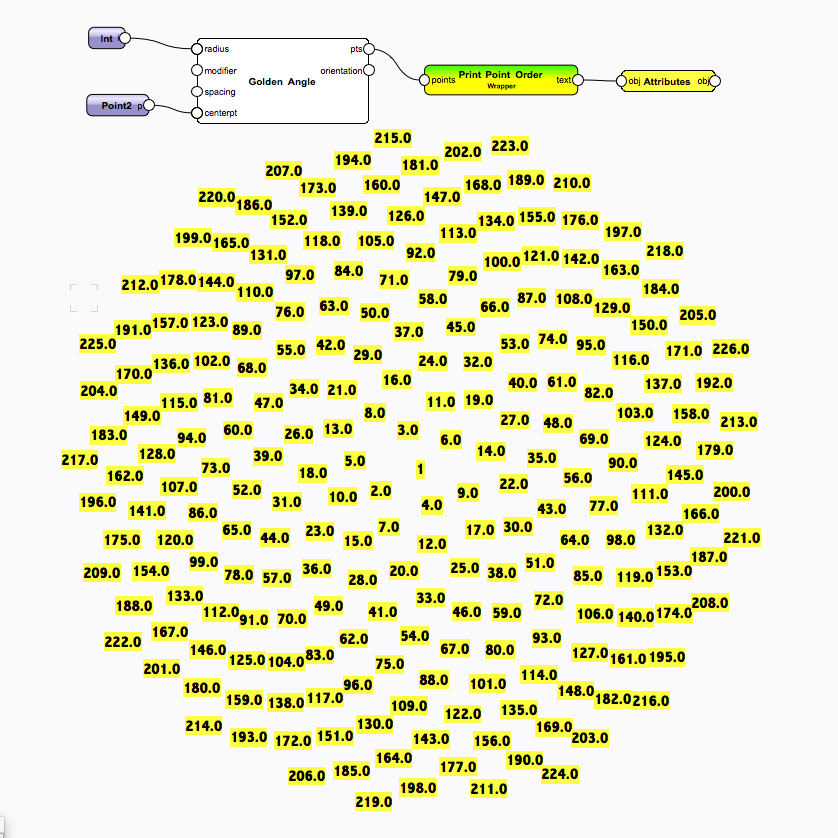 print_point_order_with_marissas_golden_angle_node.png
